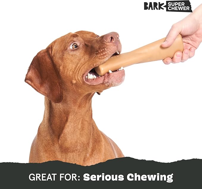 Barkbox Super Chewer Tough Dog Chew Toys - Image 5