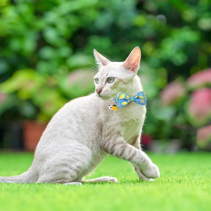 SCENEREAL Breakaway Cat Collar - Image 7
