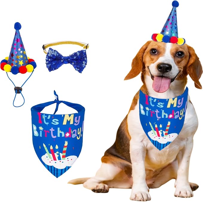 Pet Birthday Party Set, Dogs Bandana and Dog Birthday Hat by Unknown