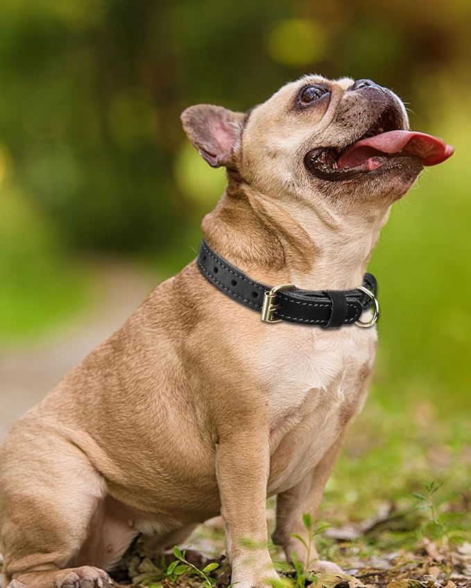 Joytale Leather Dog Collar for Small Dogs, Genuine Solid Sturdy Leather for - Image 2