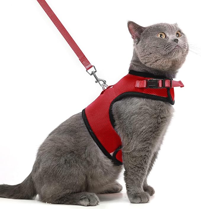 PUPTECK Soft Mesh Cat Vest Harness and Leash Set Puppy Padded Pet Harnesses by PUPTECK