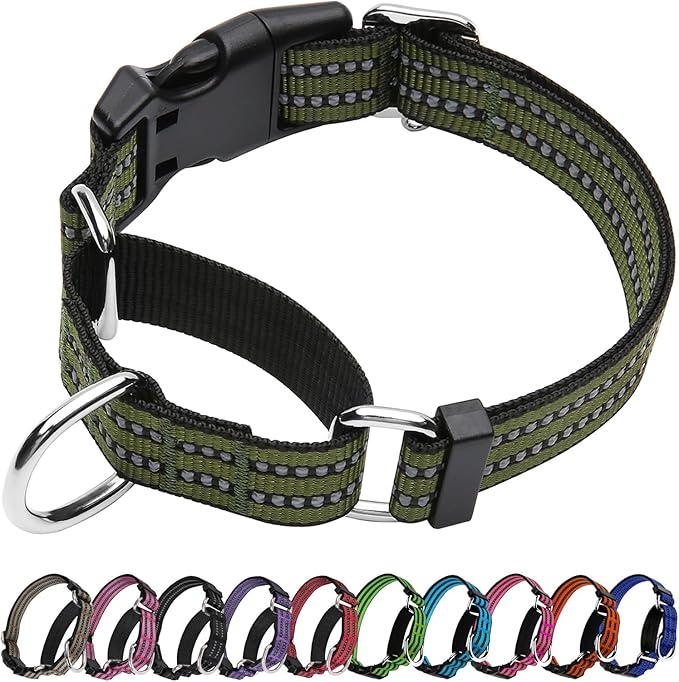 Martingale Dog Collar, Adjustable Nylon Reflective Collar by JOYEEIIOO