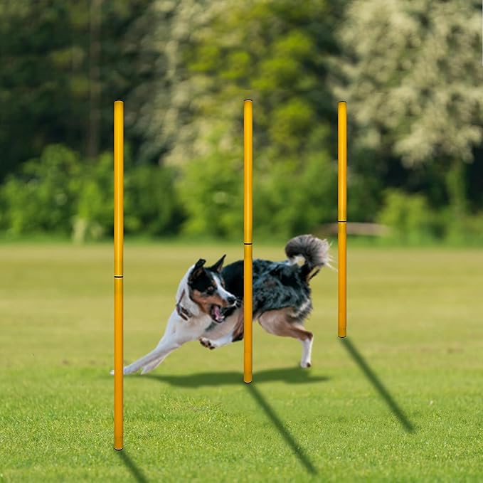TNZMART 2.6 FT Dog Agility Obstacle Course Backyard Set - Image 7