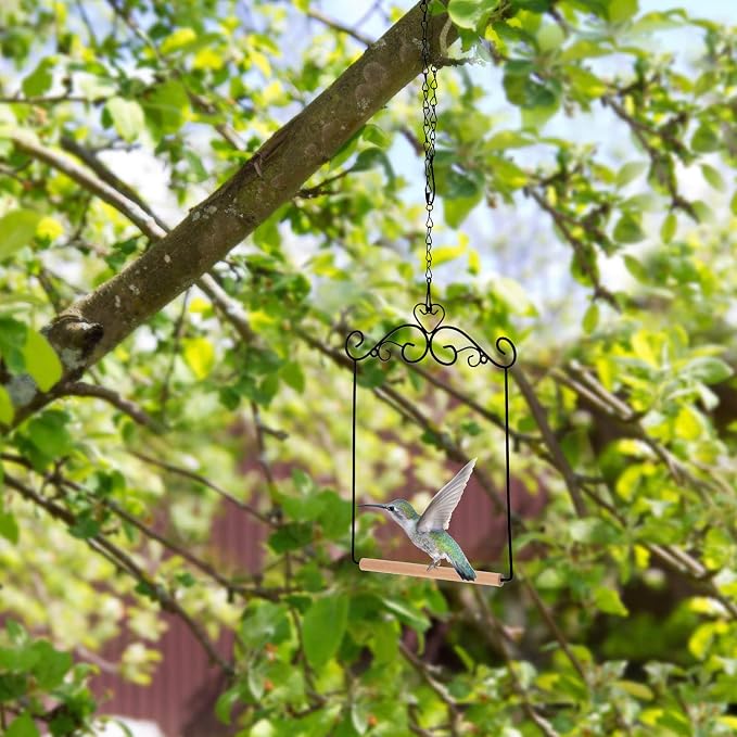 Hotop 2 Pcs Hummingbird Swings and Perches Metal Frame Bird Swing - Image 6