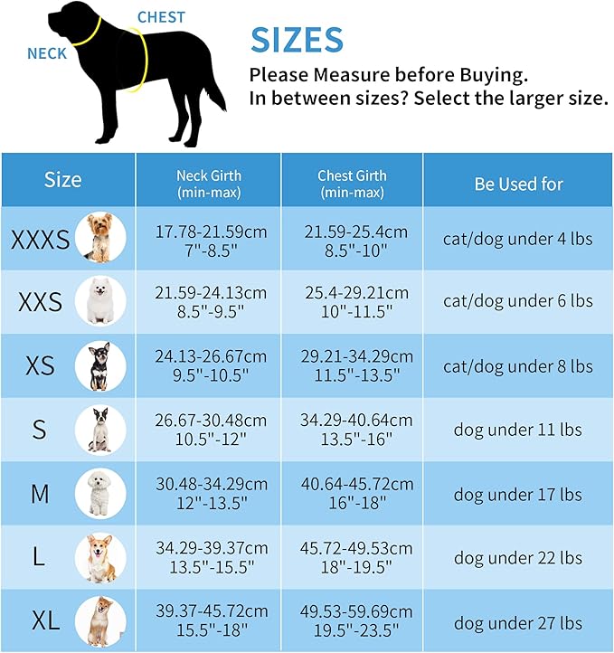 AIITLE Step in Dog Harness and Leash Set - Image 8