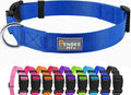 Blue Dog Collar Basic Adjustable Dog Collars by Penseepet