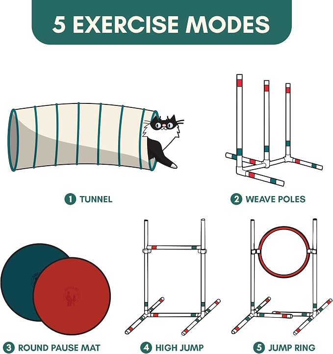 ALBERT & MIA CATGILITY Cat Agility Equipment + Clicker Trainer Guide – Exercise - Image 3