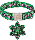 MR. CHUBBYFACE St.Patrick's Clover Dog Collar by MrChubbyfacePetSupplies