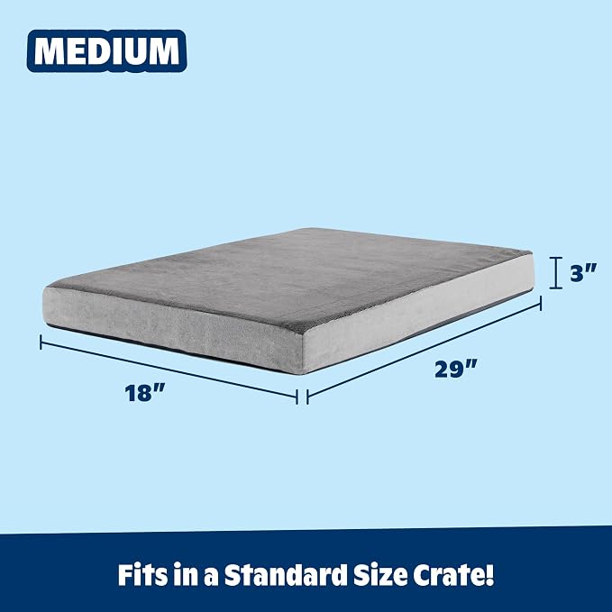 Barkbox Orthopedic Dog Bed - Image 3