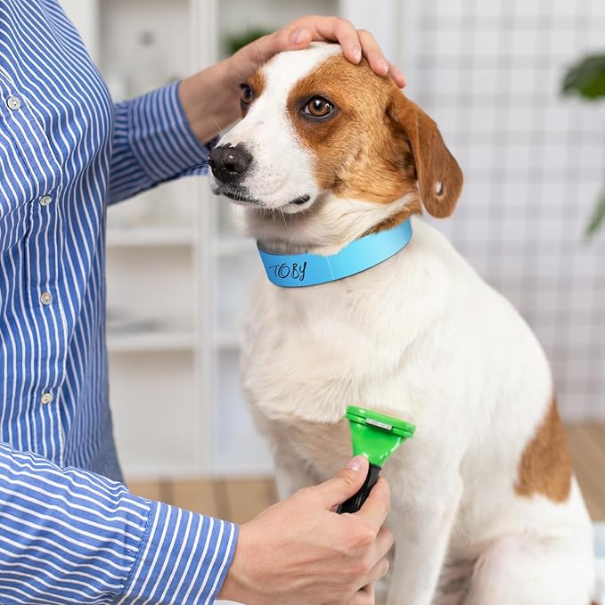 500 Count 20inch Adjustable Paper Dog Collars - Image 4