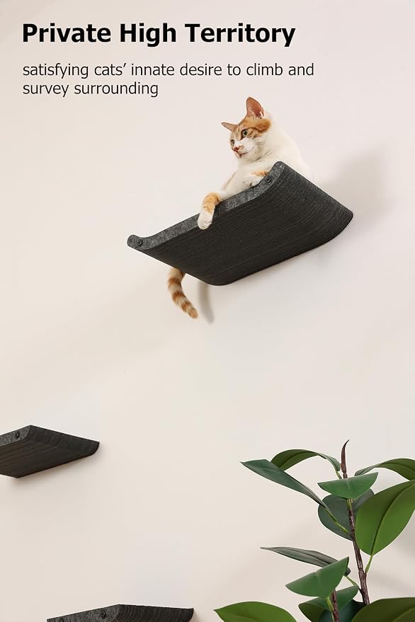 Wall Mounted Cat Shelves and Perches, Scratcher Cat Beds & Furniture - Image 6