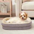 Orthopedic Dog Bed for Small Dogs Breeds, High Density Egg Crate Foam Dog Sofa by DEBANGHOME