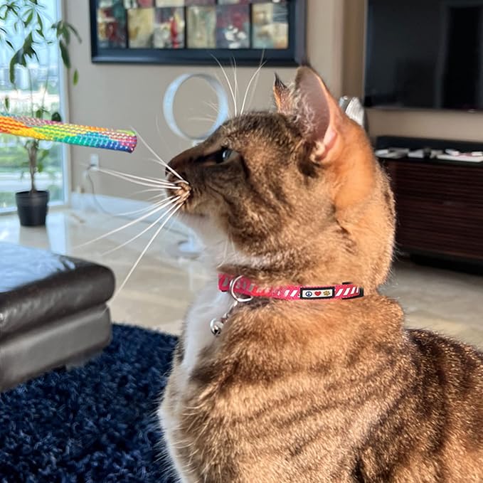 Pawtitas Personalized Pink Reflective Cat Collar – Adjustable Custom Collar - Image 9
