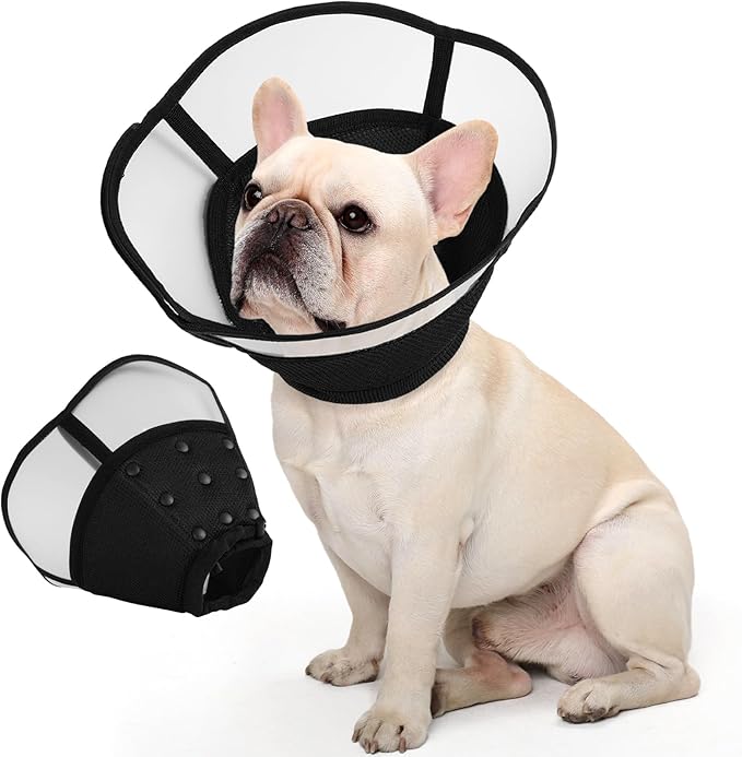 Allroaring Dog Cone, Soft Dog Cones by Allroaring
