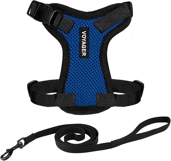 Voyager Escape-Proof Step-In Lock Cat Harness & 5ft Neoprene-Handle Leash Set by BestPetSuppliesLLC