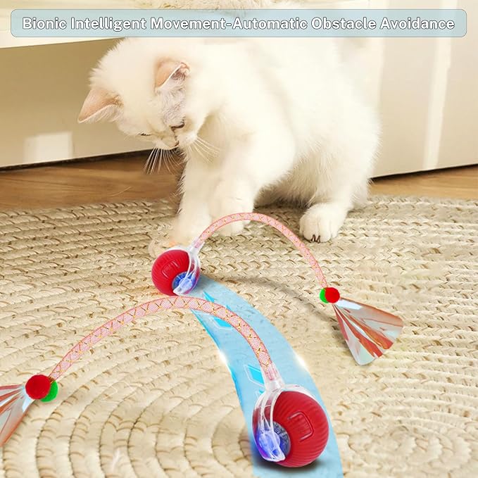 New Upgraded Cat Ball Toy - Image 6
