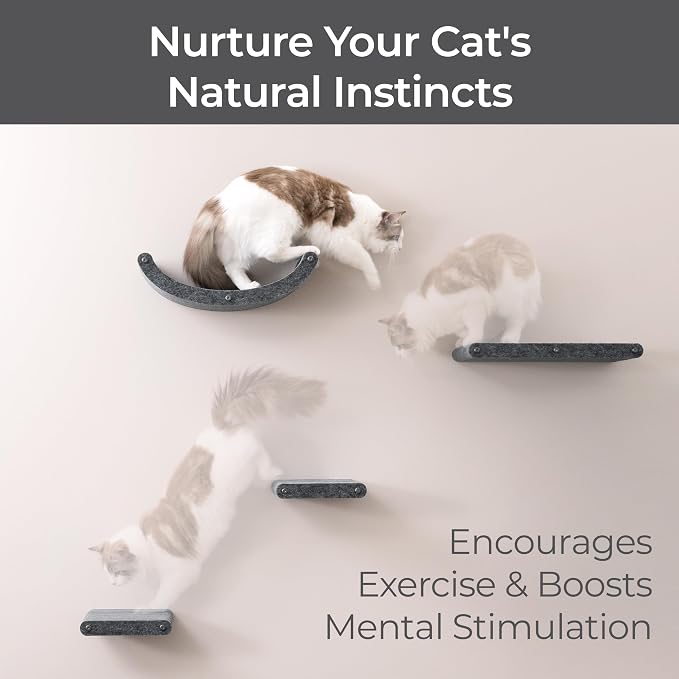 Wall Mounted Cat Shelves by Pryde Pets - Image 5