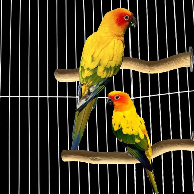 Allazone 5 PCS Natural Parrot Perch Bird Stand Wooden Parrot Perch Stand - Image 3