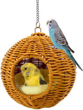 Chewproof Steel Frame Bird Nest by Jevnd