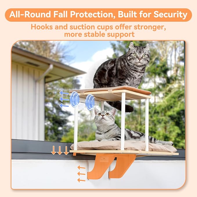 PETSFIT Cat Window Perch, Dual-Level Hammock - Image 2