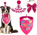 PTDECOR Dog Birthday Party Supplies, Girl Dog Birthday Hat by PTDECOR