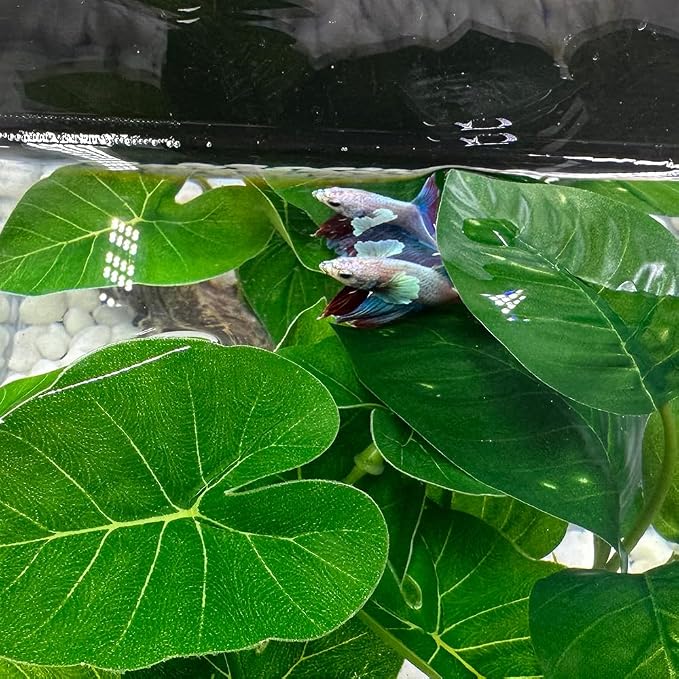 Smoothedo-Pets Fish Tank Decor Aquarium Decorations Ornaments Betta Leaf pad - Image 6