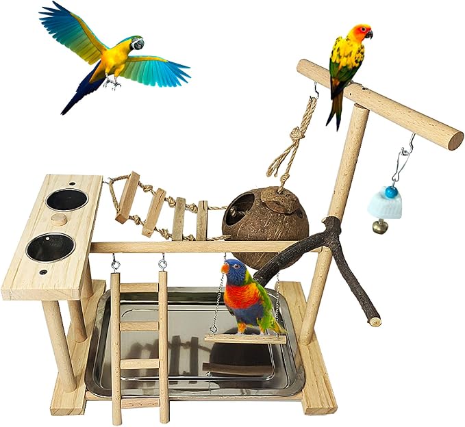 Hamiledyi Parrot Playground Bird Play Stand Natural Wood Parrot Perch Gym by Hamiledyi