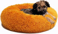 Calming Donut Dogs Beds for Small Dogs Washable, 19inch Fluffy Round Puppy Bed by nononfish