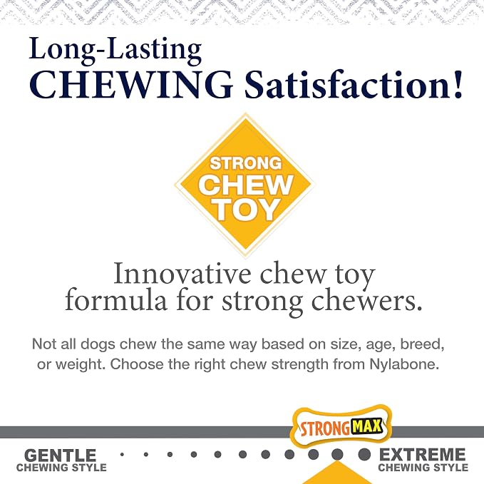 Nylabone Gourmet Style Strong Chew Toy Bundle, Toys - Image 7