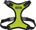 Voyager Step-in Pet Harness by BestPetSuppliesLLC