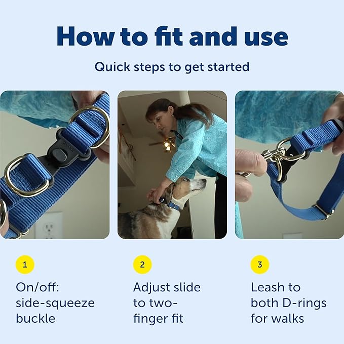 PetSafe KeepSafe Break-Away Safety Collar - Image 6