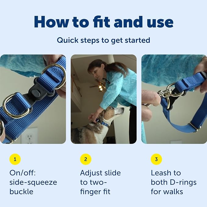PetSafe KeepSafe Collar for Dogs - Image 6