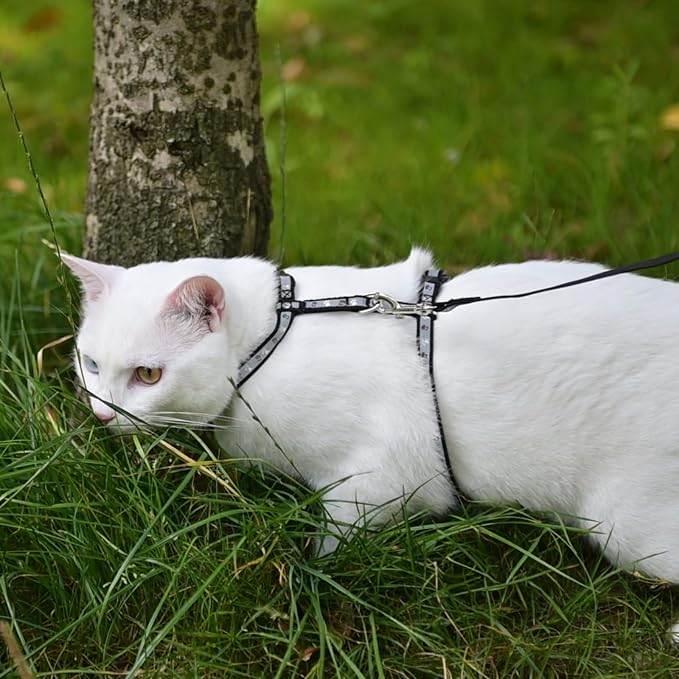 KOOLTAIL Cat Harness and Leash Set, Escape Proof Adjustable Kitten Harness - Image 7