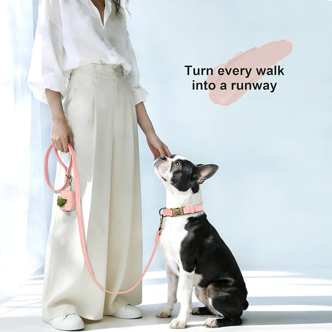 Didog Soft PU Leather Dog Collar, Stylish Quick Released Dog Collars - Image 4