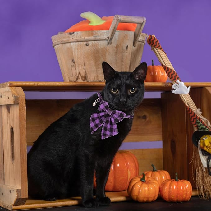 ADOGGYGO Halloween Cat Collars - Image 3