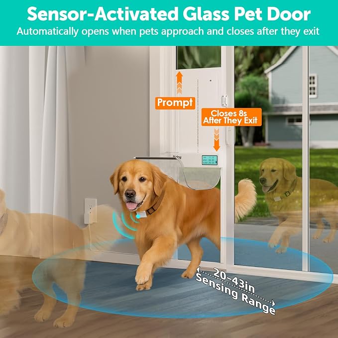 Automatic Sliding Glass Dog Door - Image 3