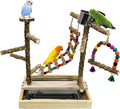 Tfwadmx Bird Playground Natural Wood Bird Play Stands Parrot Perch Stand by Tfwadmx