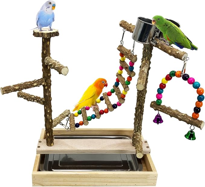 Tfwadmx Bird Playground Natural Wood Bird Play Stands Parrot Perch Stand by Tfwadmx