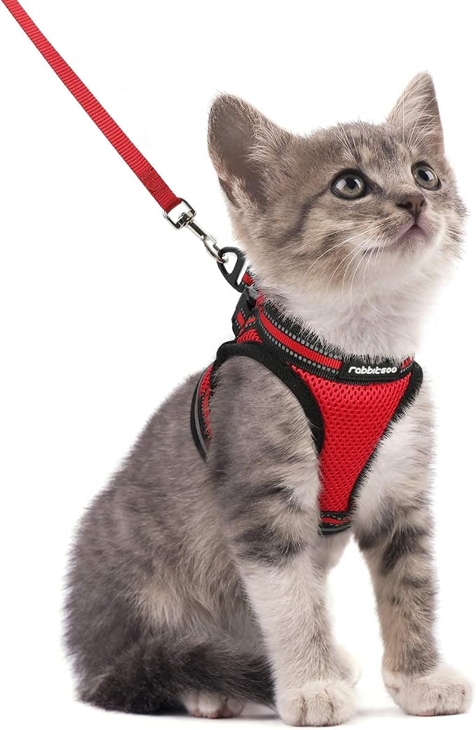 rabbitgoo Cat Harness and Leash Set by rabbitgoo