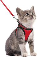 rabbitgoo Cat Harness and Leash Set by rabbitgoo