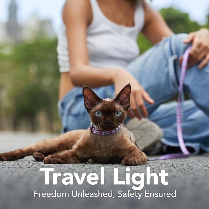 Cat Harness and Leash Set - Image 2