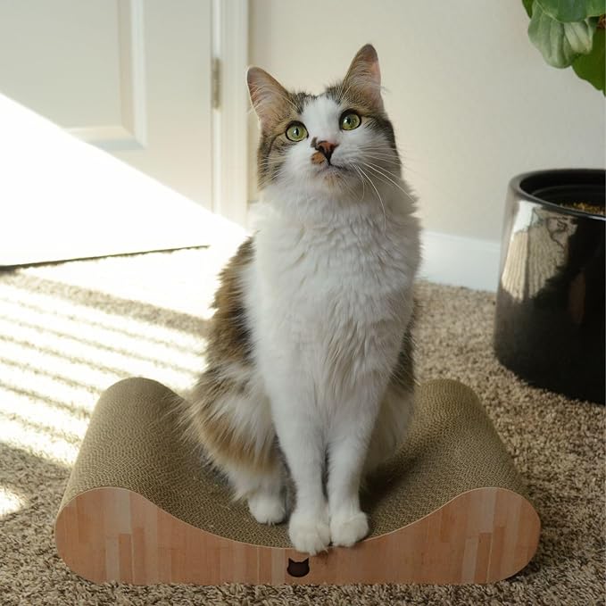 Necoichi Cardboard Cat Scratcher Bed - Image 5