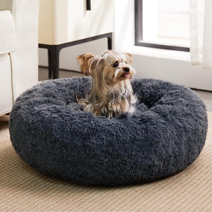 WNPETHOME Calming Dog Bed & Cat Bed, Anti-Anxiety Donut Small Dog Beds by WNPETHOMEPETSHOME