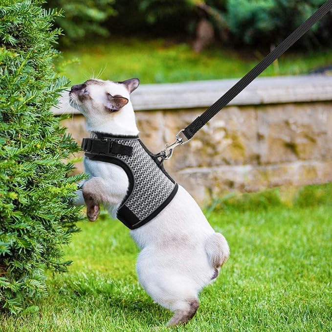 PUPTECK Soft Mesh Cat Vest Harness and Leash Set Puppy Padded Pet Harnesses - Image 6