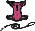Voyager Escape-Proof Step-in Lock Cat Harness & 5ft Neoprene-Handle Leash Set by BestPetSuppliesLLC