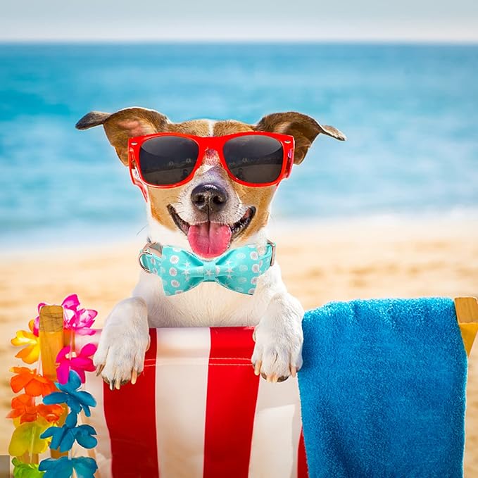 Elegant Little Tail Summer Dog Collar - Image 5