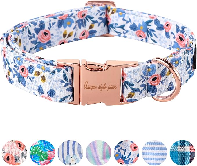 Unique Style Paws Dog Collar by Uniquestylepaws