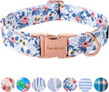 Unique Style Paws Dog Collar by Uniquestylepaws