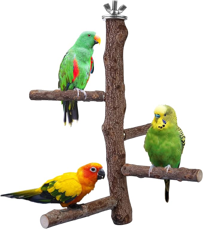 Bird Perch Stand Toy, Natural Wood Parrot Perch Bird Cage Branch Perch by Filhome