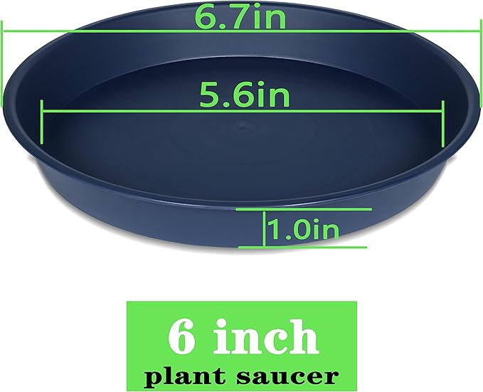 6 Pack Plant Saucer Drainage Tray, Plastic Plant Water Tray, 6 inch Flower - Image 2